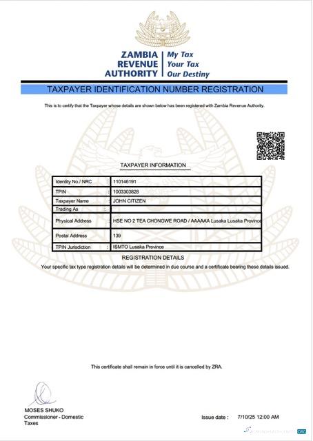 Zambia taxpayer identification number registration Word and PDF template